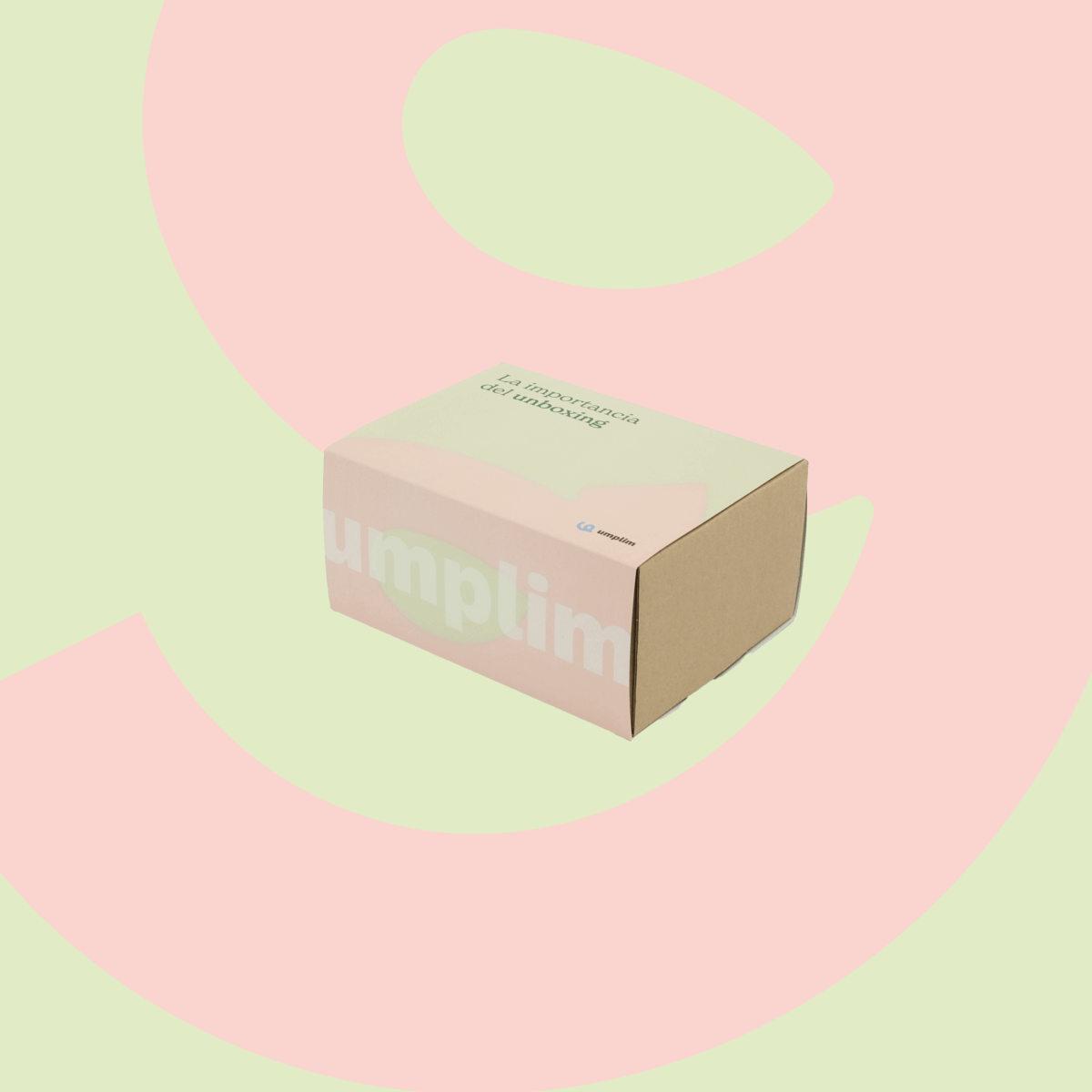 Fajas personalizadas para caja BIG CHEST