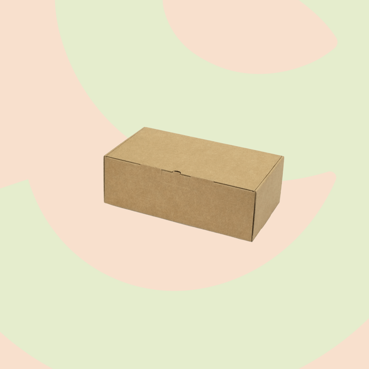 CAJA SHOES (31,5 x 17,5 x 10,5 cm)